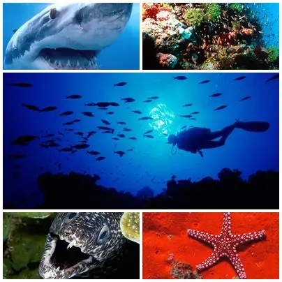 21 Submarine Wallpapers