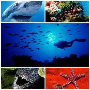 21 Submarine Wallpapers