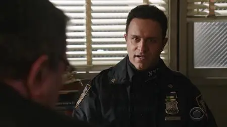 Blue Bloods S09E14