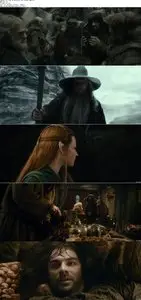 The Hobbit: The Desolation of Smaug (2013)