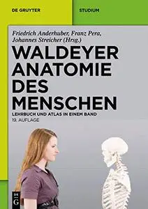 Waldeyer - Anatomie Des Menschen: Lehrbuch Und Atlas in Einem Band