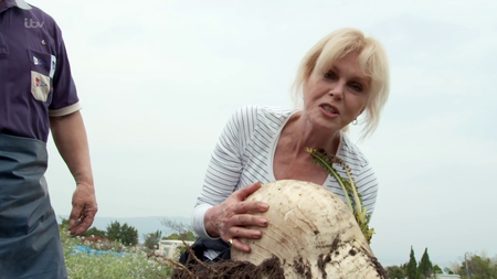 ITV - Joanna Lumley's Japan (2016)