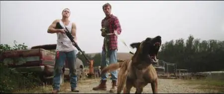 The Dog Lover / The Wrong Side of Right (2016)