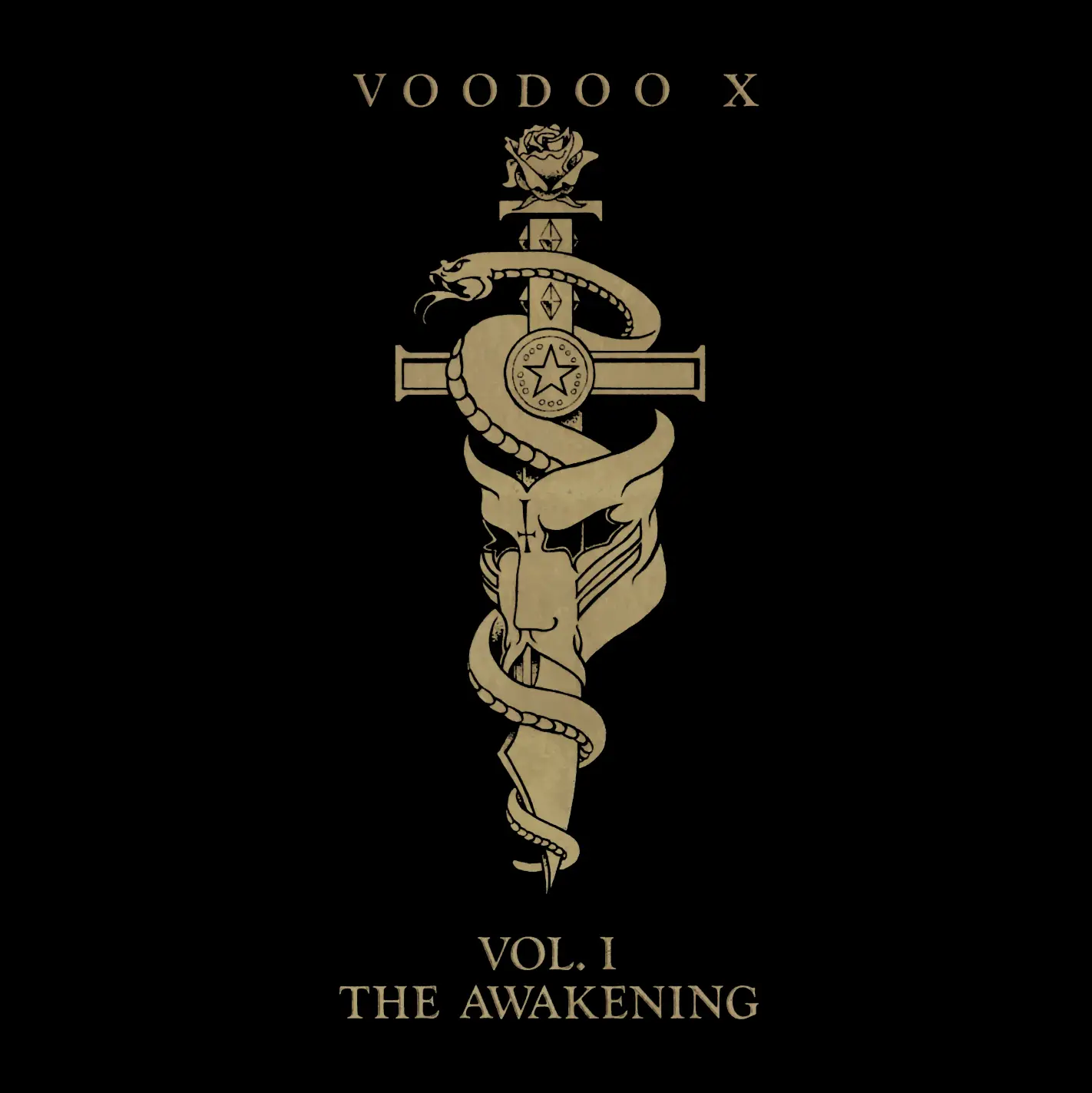 Vol. Voodoo x - Vol. 1 - the Awakening (1989). Voodoo x. The Awakening обложка. Poздngore Vol 1&2.