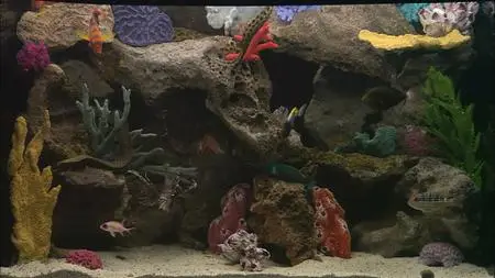 HDScape: Exotic Saltwater Aquarium (2006)
