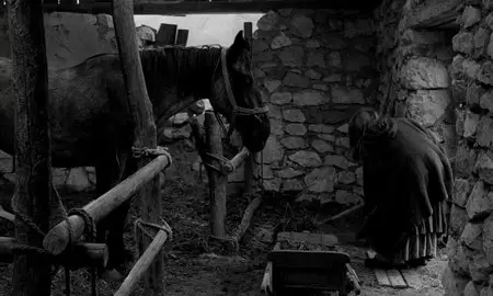 A Torinói ló / The Turin Horse (2011) [Repost]