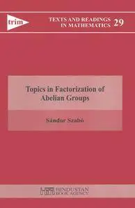 Topics in Factorization of Abelian Groups