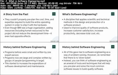 Software Engineering for Data Scientists and Programmers