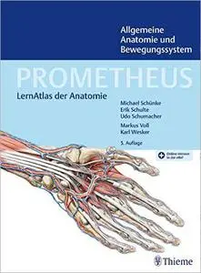 PROMETHEUS Allgemeine Anatomie und Bewegungssystem: LernAtlas der Anatomie, 5. Auflage