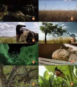 Discovery Channel - Mutant Planet S01E03: Brazil's Cerrado grassland (2011)