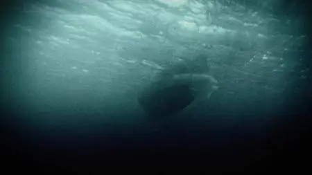 The Curse of Oak Island S05E10