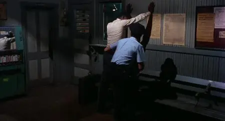 In the Heat of the Night (1967)