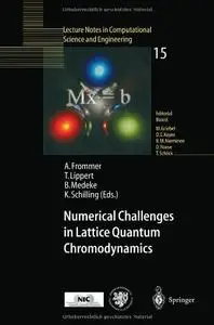 Numerical Challenges in Lattice Quantum Chromodynamics