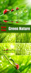 Stock Photo - Green Nature