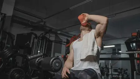 Sports Nutrition For Elite Performance (Certified)