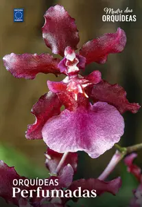 Mestre das Orquídeas - 2 Setembro 2026