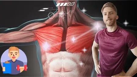 Complete Personal Trainer Certification: Beginner To Pro