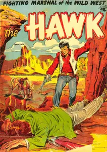 The Hawk 11