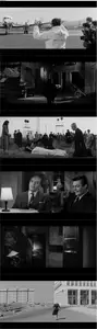 La Dolce Vita (1960) [The Criterion Collection]
