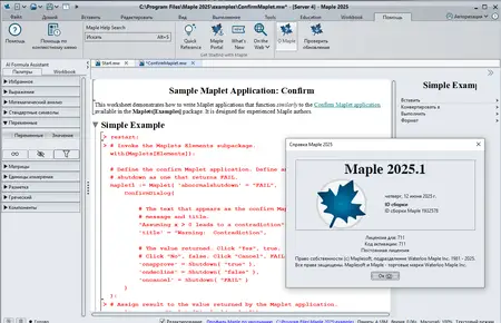 Maplesoft Maple 2025.1