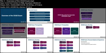 CKAD Certified Kubernetes Application Developer | CKAD Exam