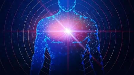 Introduction to Bioenergetic Functional Medicine