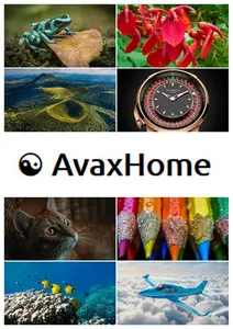 AvaxHome Wallpapers Part 118