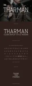 Tharman - Serif Display Font ZKNYGEN