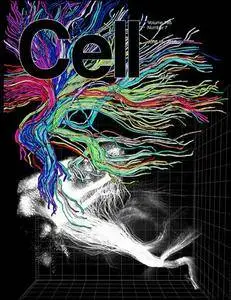 Cell - 16 June 2016