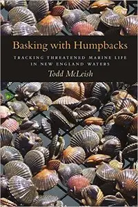 Basking with Humpbacks: Tracking Threatened Marine Life in New England Waters