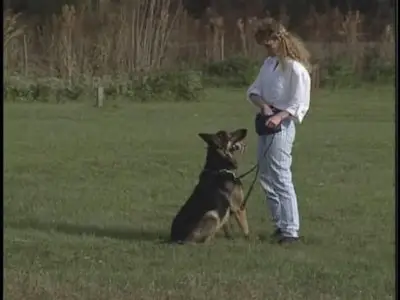 Schutzhund with Gottfried Dildei - Advanced Set