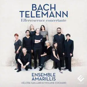 Ensemble Amarillis - Bach & Telemann: Effervescence concertante (2017)