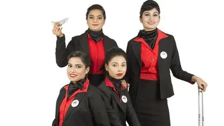 Aviation: Airline Customer Service Course: Aviation Industry