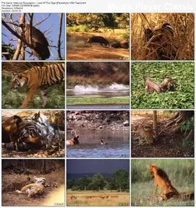 National Geographic: Land of the Tiger (1985)