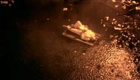 Lars von Trier-Forbrydelsens element (1984)
