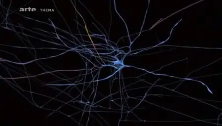 (Arte) Survivre au progrès (2012)