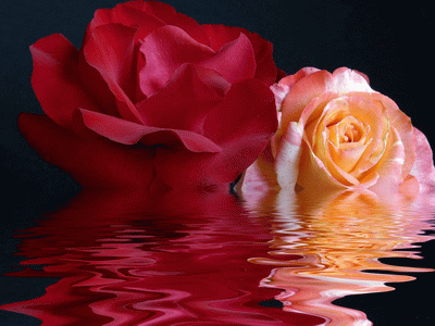 Wallpapers 200 pictures