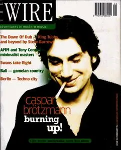 The Wire - February 1995 (Issue 132)