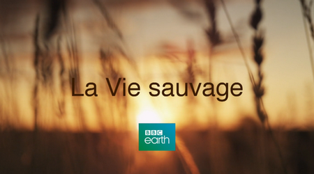 La Vie Sauvage (2016)