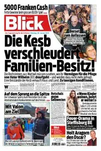 Blick – 28. Januar 2019