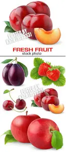 Fresh fruit 41