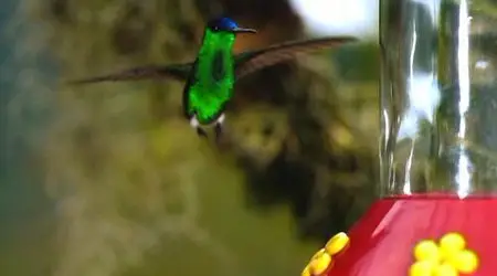 UKTV - Wild Colombia (2012)