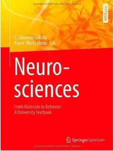 Neurosciences - From Molecule to Behavior: a university textbook [Repost]