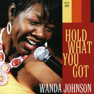 Wanda Johnson - Hold What You Got (2008)