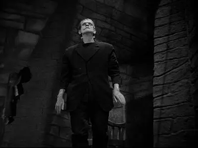 Frankenstein (1931) [75th Anniversary Edition]