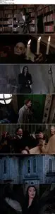The Addams Family (1991)