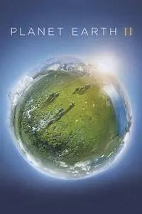 Planet Earth II S01E04 (2016)