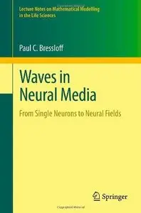 Waves in Neural Media: From Single Neurons to Neural Fields