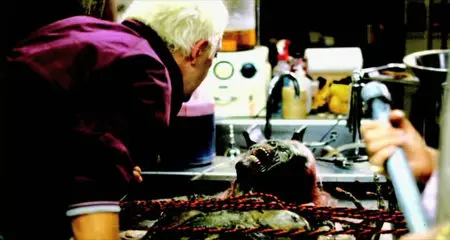 More Brains! A Return to the Living Dead (2011)