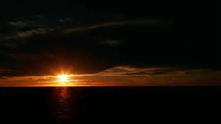 Salt (2009)
